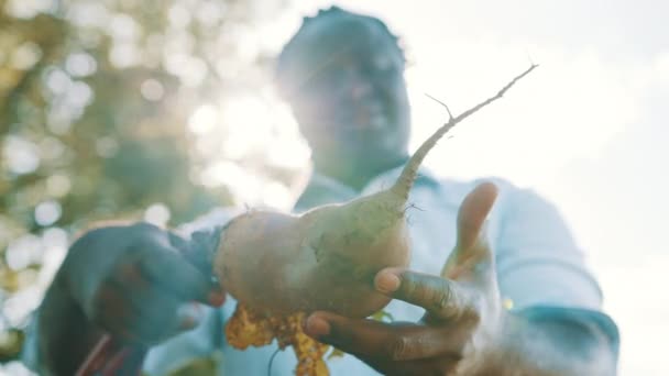 De cerca, un granjero africano sosteniendo una gran remolacha en sus manos — Vídeo de stock