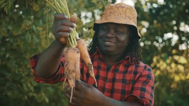 Mladý africký muž, zemědělec, pracovník držící v rukou domácí sklizeň čerstvé pomerančové mrkve. — Stock video