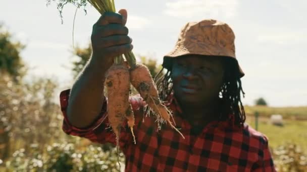 Mladý africký muž, zemědělec, pracovník držící v rukou domácí sklizeň čerstvé pomerančové mrkve. — Stock video