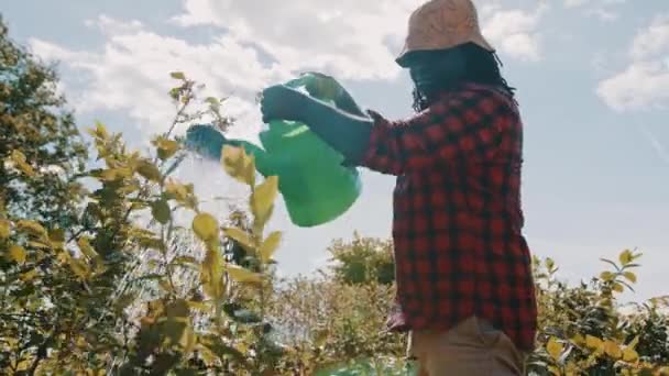 Feliz fazendeiro africano bonito regando as plantas. Movimento lento ângulo baixo — Vídeo de Stock