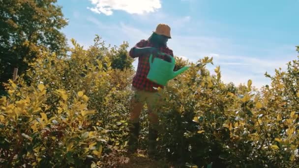 幸せなハンサムなアフリカの農家が植物に水をやる — ストック動画