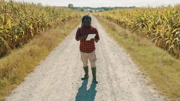 Concept d'agriculture intelligente, vidéo au ralenti. Homme africain agronome tient tablette sur la route entre les champs de maïs — Video