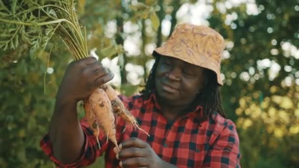 African man, farmer holding in hands homegrown harvest of fresh carrots and showing thumbs up — Stock Video