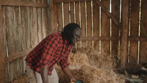 Agricultor africano levantando feno dentro de casa — Vídeo de Stock