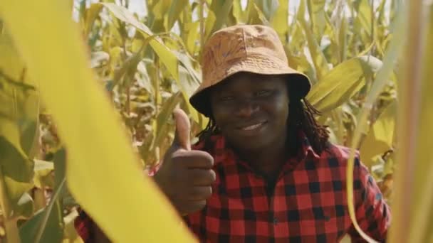 Afrykański rolnik trzymający kciuk na polu kukurydzy — Wideo stockowe