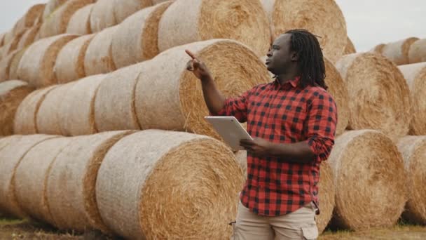 Jeune homme africain, travaillant sur une tablette devant la pile de rouleaux de foin. Concept d'agriculture intelligente — Video