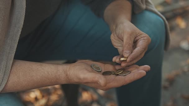 Äldre hemlösa män räknar mynt. Närbild — Stockvideo