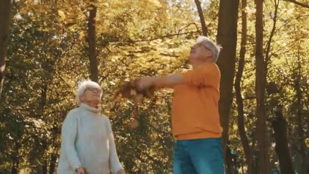 Ouderen stellen ontspannen in de natuur. het gooien van gele bladeren in de lucht — Stockvideo