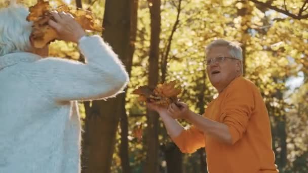 Couple âgé relaxant dans la nature. jetant des feuilles jaunes les unes sur les autres — Video