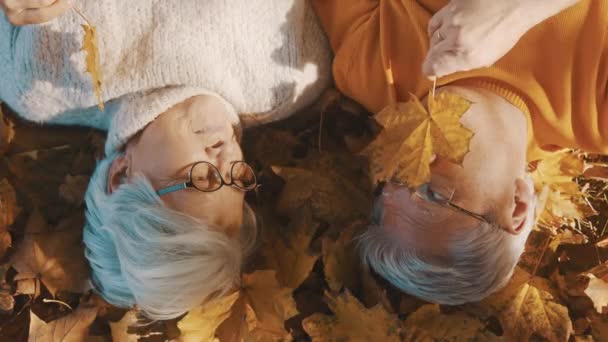 Kärlek och romantik i ålderdomen Äldre par som ligger på skogsmarken och leker med gula höstlöv. — Stockvideo