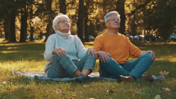 Porträt eines glücklichen Seniorenpaares beim Meditieren im Herbstpark — Stockvideo