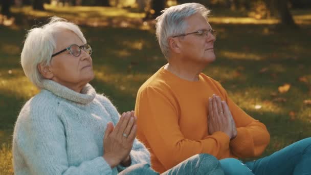 Conceito de bem-estar. Retrato de casal aposentado sênior feliz meditando no parque de outono — Vídeo de Stock