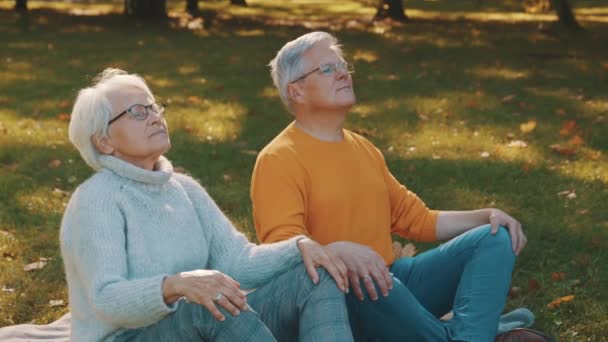 Retrato de casal sênior feliz meditando no parque de outono. Conceito de bem-estar — Vídeo de Stock