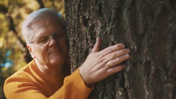 Un uomo più anziano abbraccia amorevolmente un tronco d'albero e si sente rilassato e bene nella giornata autunnale. — Video Stock