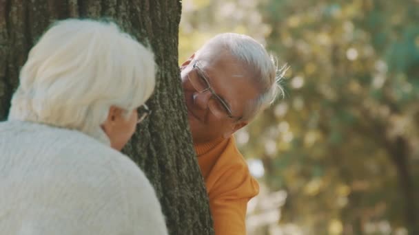 Το ηλικιωμένο ζευγάρι έχει ρομαντική φθινοπωρινή μέρα στο δάσος. Αγκαλιάζοντας δέντρο και χαμογελώντας — Αρχείο Βίντεο