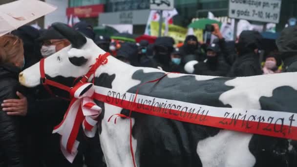 Warschau, Polen 13.10.2020 - Protest van de boerenkoe met stop humaniserende dieren tegen ritueel slachten — Stockvideo