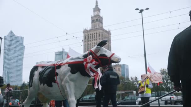 Warschau, Polen 13.10.2020 - Protest van de boerenkoe met stop humaniserende dieren tegen ritueel slachten — Stockvideo