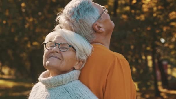 Yaşlılıkta aşk ve romantizm. Emekli çift ormanda sonbahar gününün tadını çıkarıyor sırt sırta verip gülümsüyor. — Stok video