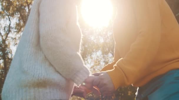 Ευτυχισμένο ζευγάρι που κρατιέται χέρι χέρι στο πάρκο. Ανώτερος άντρας φλερτάρει με ηλικιωμένη γυναίκα. Ρομαντισμός σε μεγάλη ηλικία χορό την ημέρα του φθινοπώρου — Αρχείο Βίντεο