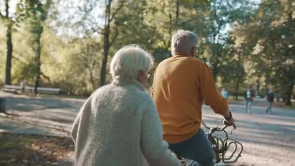 Couple aîné en bicyclette double en automne. Faire du vélo ensemble. Personnes âgées mode de vie sain et actif. — Video