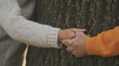 Ormanda romantik bir sonbahar günü geçiren yaşlı çift. Sarılma ağacı. Kırışık ellere yakın dur.