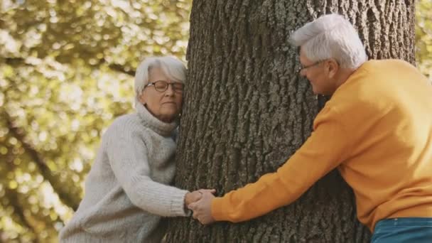 Vecchia coppia avendo romantica giornata autunnale nella foresta. Abbracciare l'albero e sorridere — Video Stock
