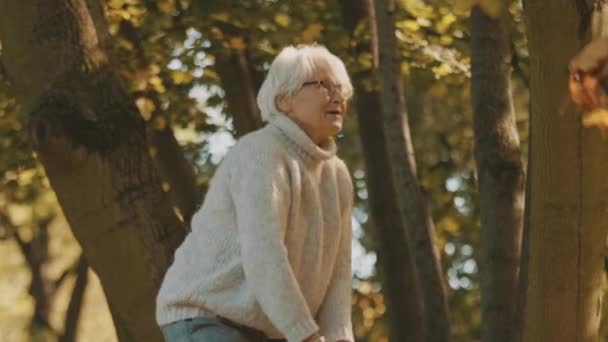 Starší žena vyhazuje žluté podzimní listí do vzduchu. Užívám si den v parku — Stock video
