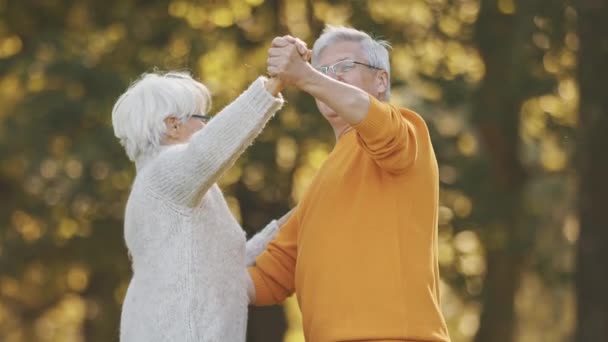 Romance à la vieillesse. Couple retraité âgé dansant dans le parc en automne — Video