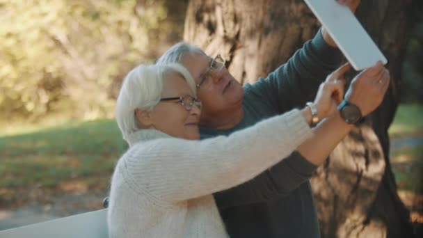 Pasangan senior yang bahagia berbicara dengan cucu mereka melalui tablet — Stok Video