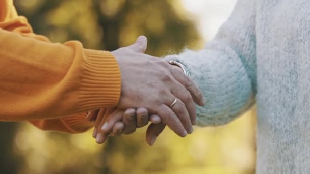 Zbliżenie rąk starszej pary w parku jesienią — Wideo stockowe