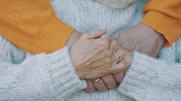 Primer plano de las manos de una pareja de ancianos en el parque en el día de otoño — Vídeos de Stock