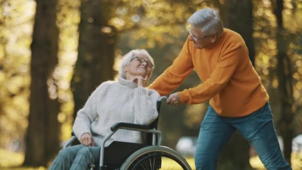 Ouderen in het park. Man duwt zijn gehandicapte vrouw in de rolstoel — Stockvideo