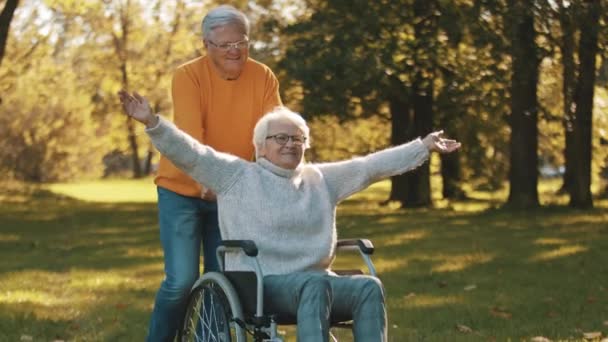 Пожилая пара в парке. Муж толкает жену-инвалида с протянутыми руками в инвалидном кресле — стоковое видео