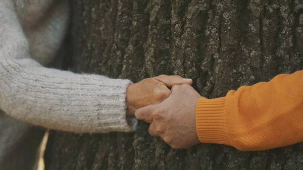 Pareja mayor teniendo un romántico día de otoño en el bosque. Abrazando el árbol. Cerca de las manos arrugadas — Foto de Stock