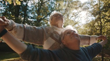 Parkta keyifli bir gün. Kıdemli adam yaşlı bir kadınla flört ediyor. Sonbahar günü dans et.
