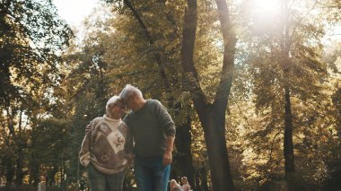 Parkta keyifli bir gün. Kıdemli adam yaşlı bir kadınla flört ediyor. Sonbahar günü dans et.