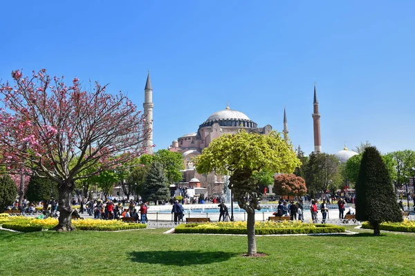 Beautiful Blooming Sultanahmet Square Istanbul Turkey — Stock Photo, Image