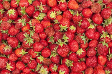 lots of strawberry view from above clipart