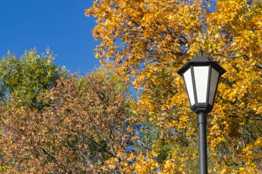 Sonbahar ağaçlarının arka planında sokak feneri