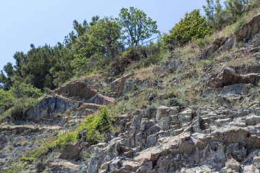 Üzerinde ağaçlar olan kayalar.