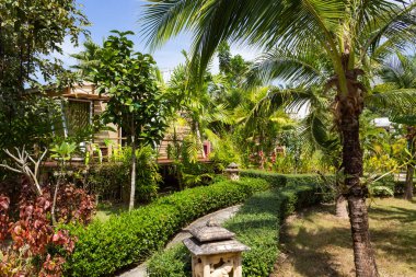 tropik çalılıklardaki bungalovlar