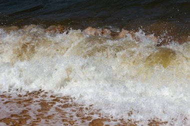 Deniz köpüğü dalgaları kıyıda