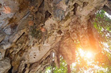 Ağaçlı ve güneşli sarı kaya