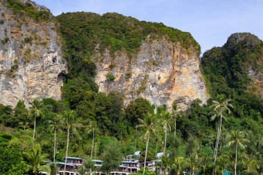 Ağaçlı büyük yeşil dağlar