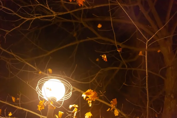 Lampione rotondo contro i rami nudi degli alberi — Foto Stock