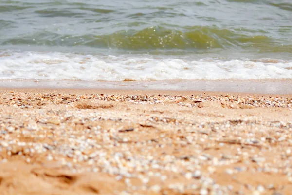 Skorupiaki złota plaża — Zdjęcie stockowe