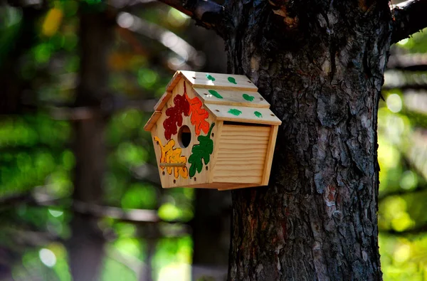 Russland Rostow 2013 Ein Leeres Handgefertigtes Vogelhaus Auf Einem Baum — Stockfoto