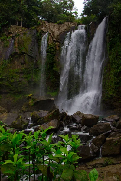 Hermosa Cascada Tropical Selva Costa Rica — Foto de Stock