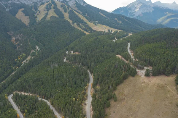 Kanada Banff yakınlarındaki Rocky Dağları 'ndaki çam ağaçları arasındaki güzel kıvrımlı Norquay Dağı yolunun hava manzarası..