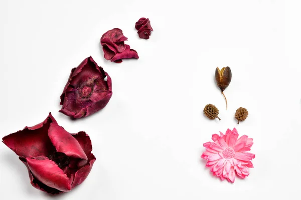 İzole yapraklar güzel şekiller oluşturuyor.